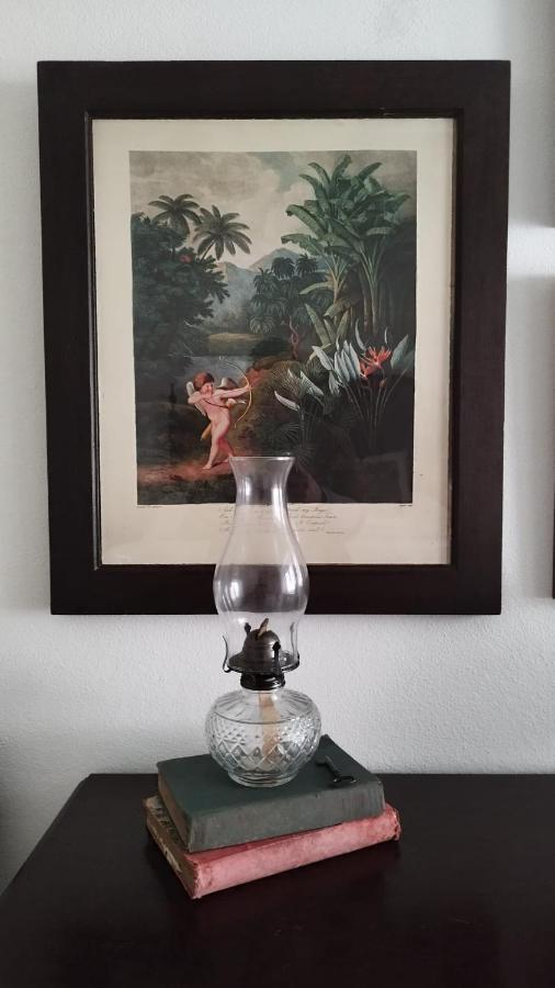 Casa Da Avo Genoveva Konuk evi Tomar Dış mekan fotoğraf
