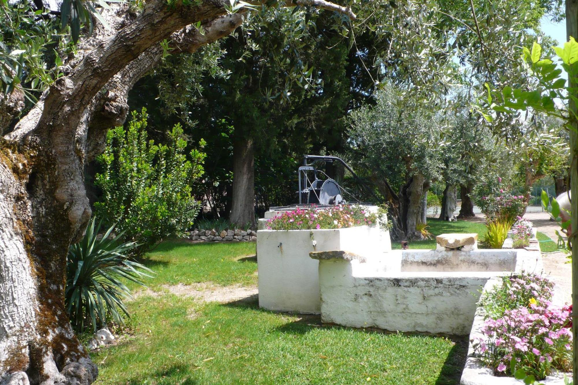 Casa Da Avo Genoveva Konuk evi Tomar Dış mekan fotoğraf