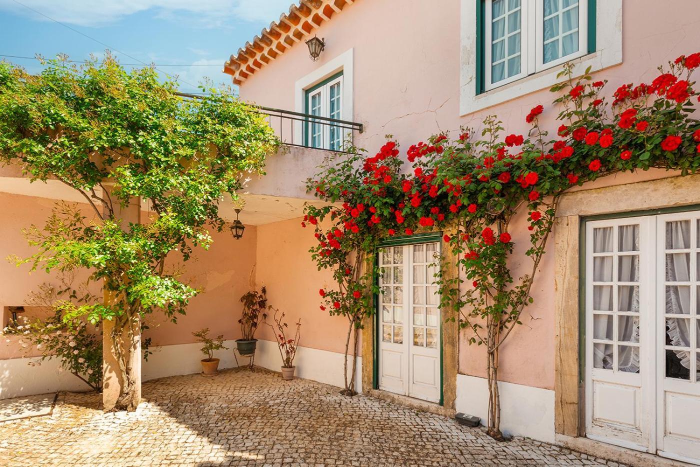 Casa Da Avo Genoveva Konuk evi Tomar Dış mekan fotoğraf