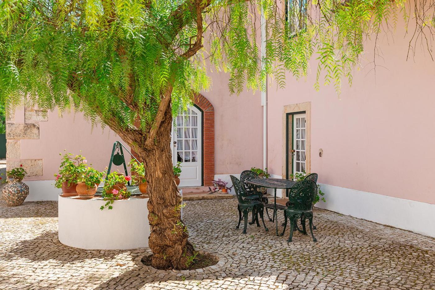 Casa Da Avo Genoveva Konuk evi Tomar Dış mekan fotoğraf