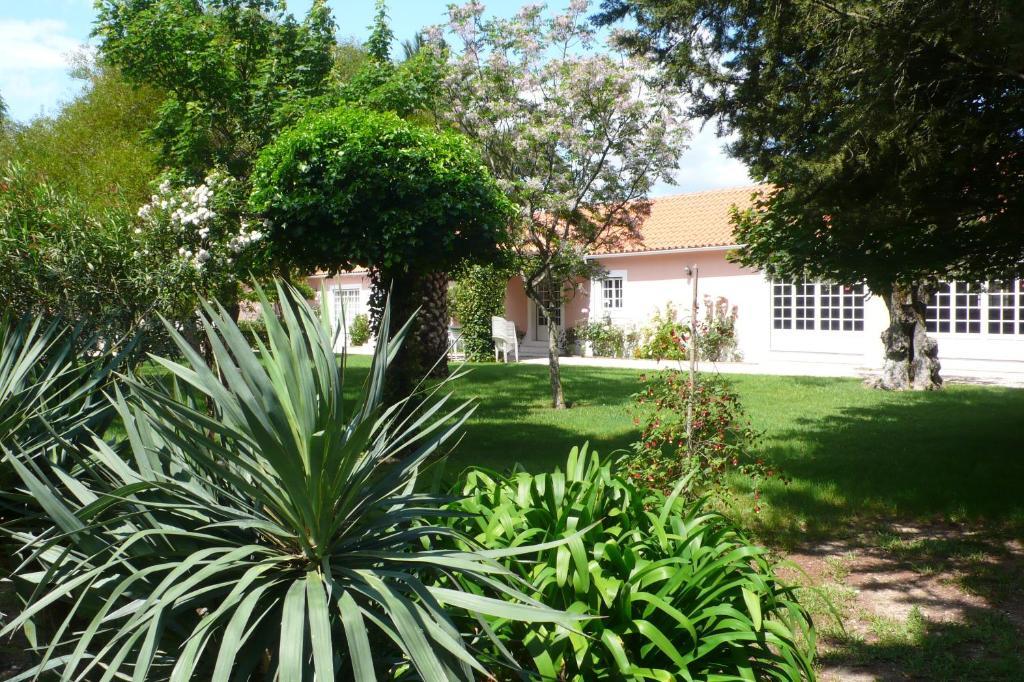 Casa Da Avo Genoveva Konuk evi Tomar Dış mekan fotoğraf